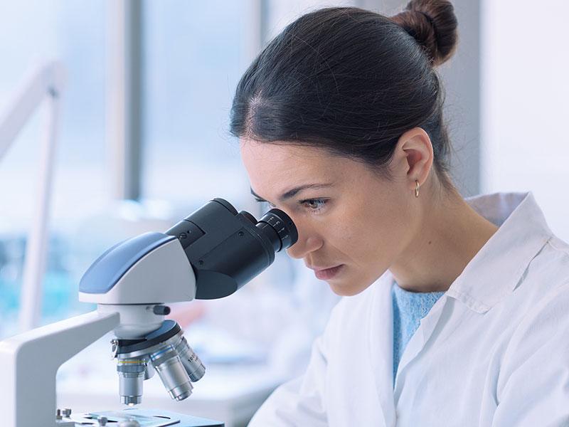 A doctor is looking through the microscope